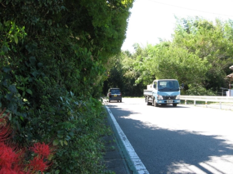 画像17